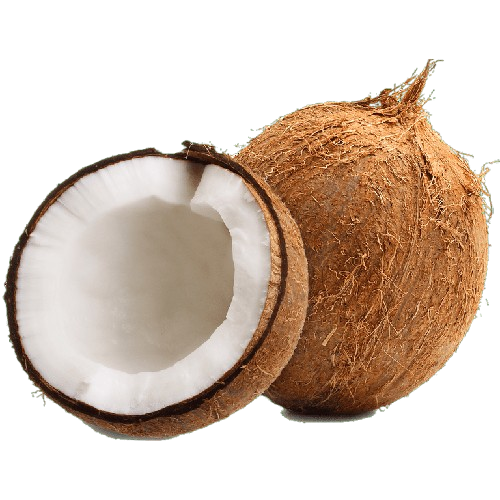 Coconut - Medium, 1pc