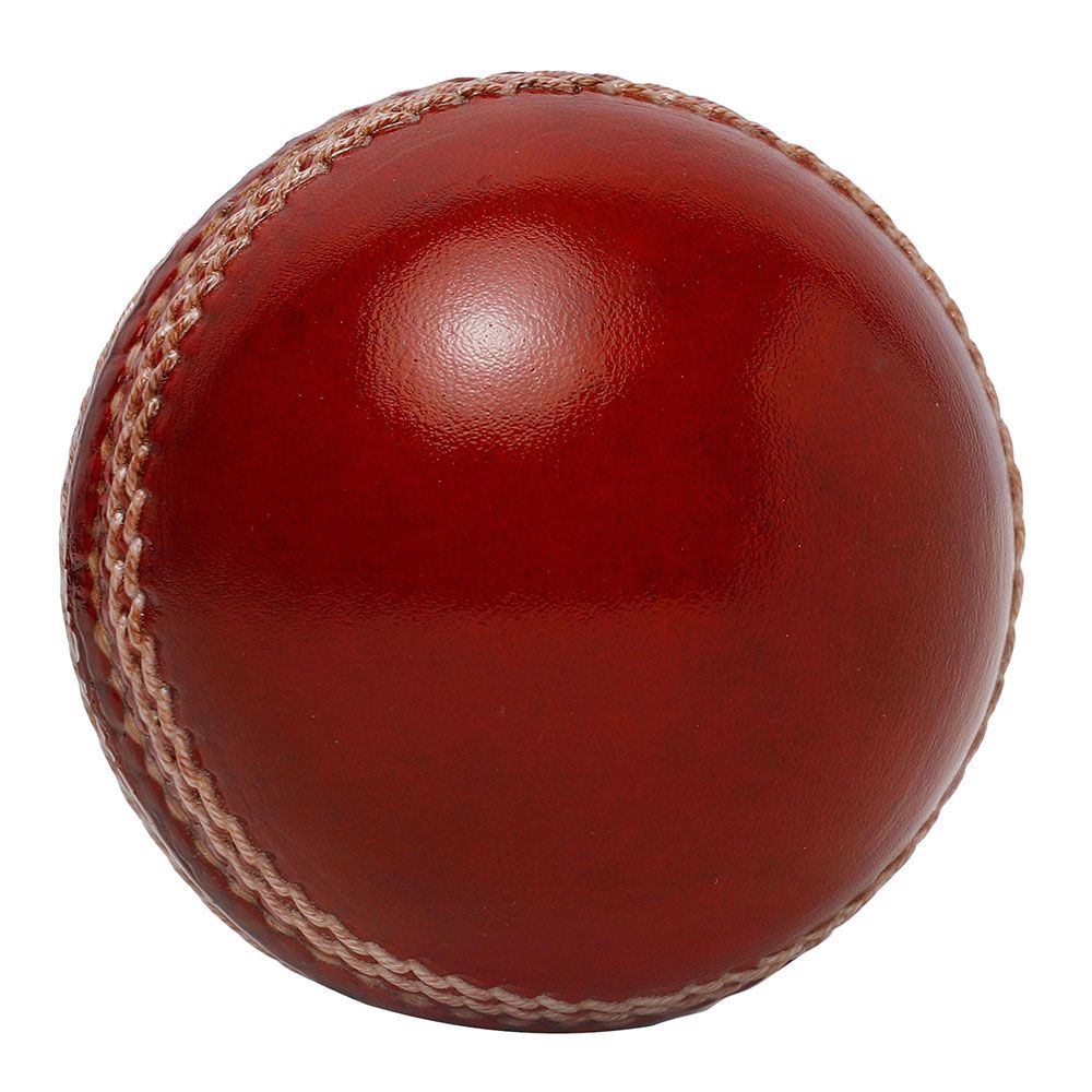 FLX Cricket Non Toxic 2 Piece ICC Standard Leather Ball