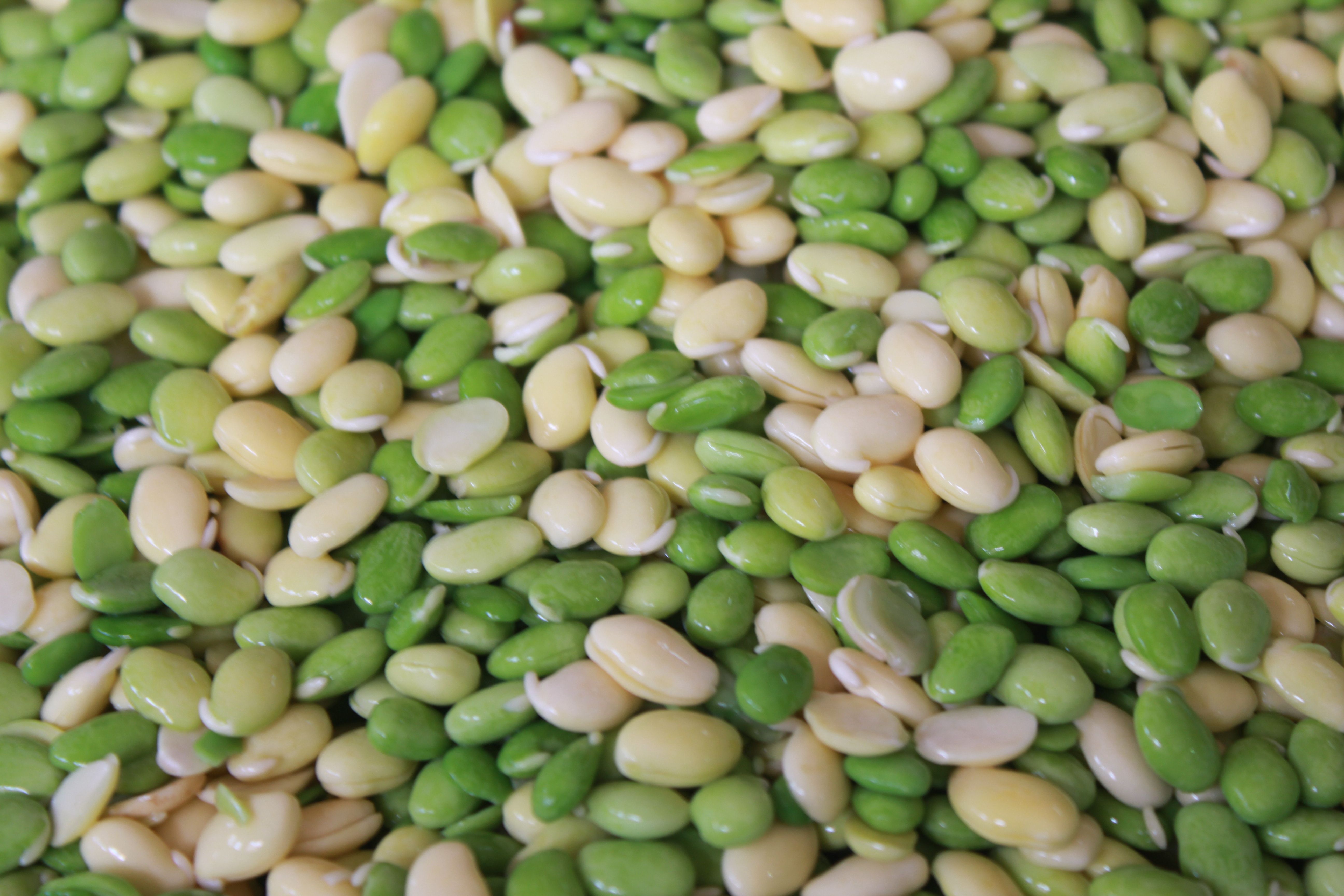 Hyacinth Beans / Avarekalu
