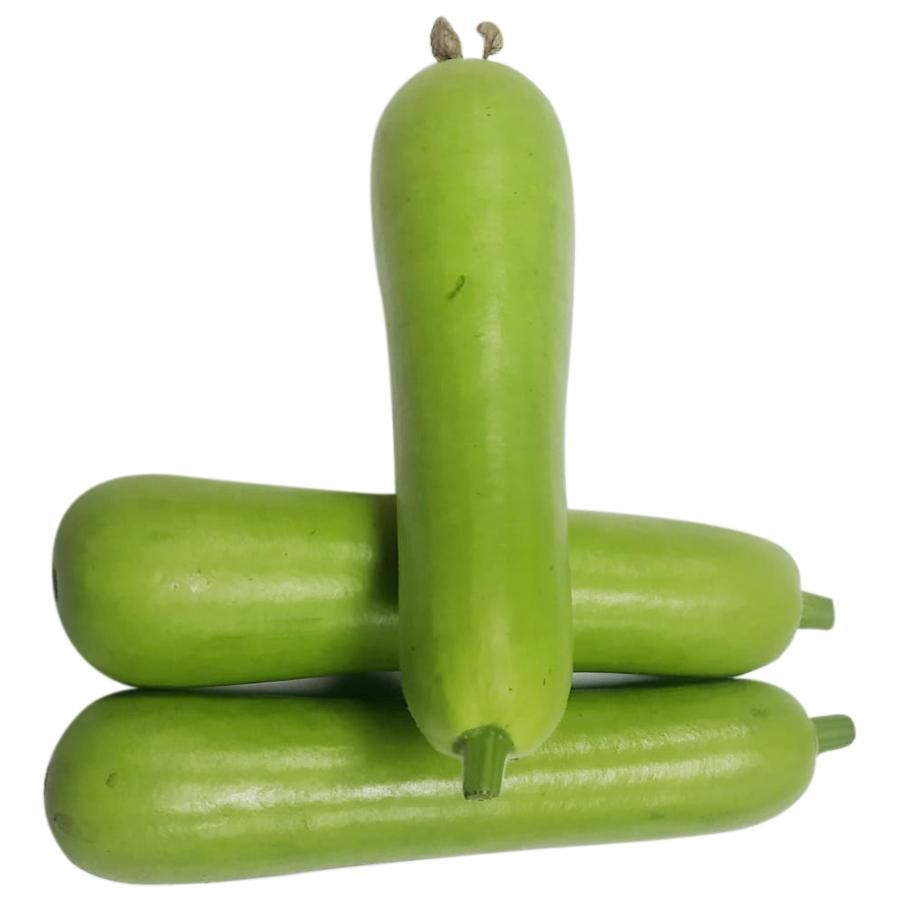 Bottle Gourd, 1pc (Approx 600g - 850g)