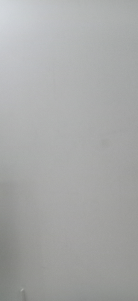 evergreen sasi  store