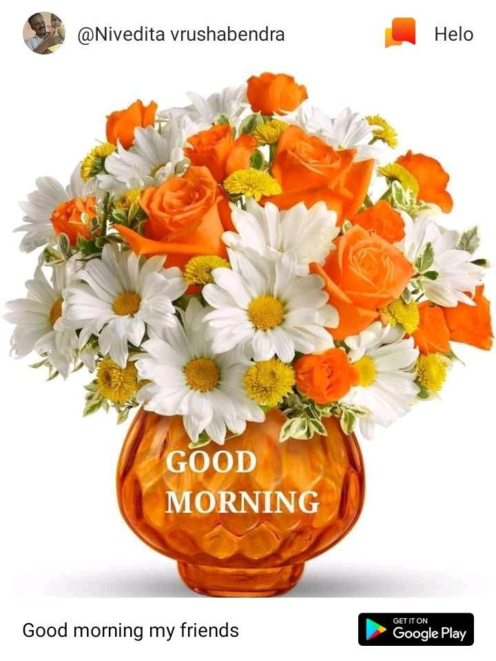 New Zain Fancy Stores