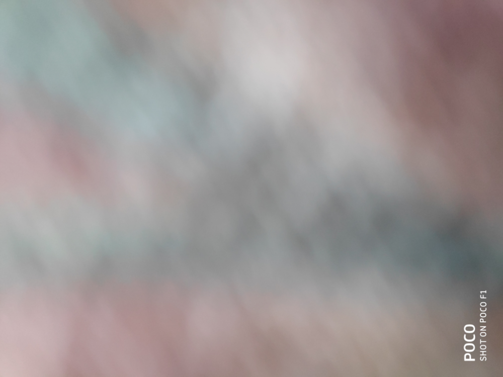 O-Pro Online Services