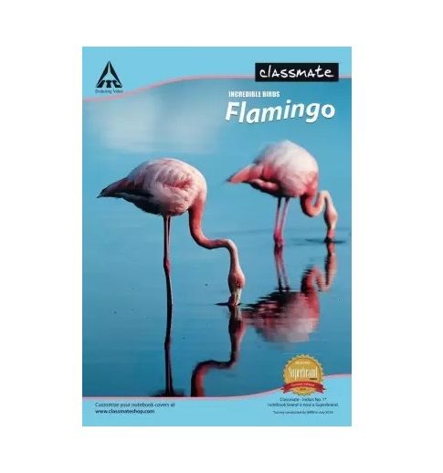 Classmate A4 Single Line Long Book - Ruled, 240 Pages