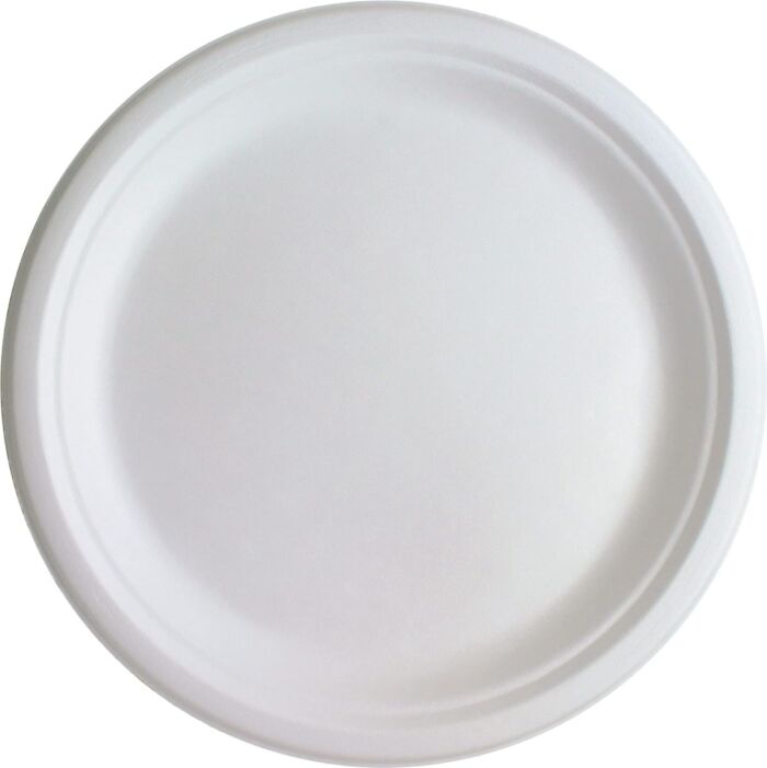 Generic Disposable Paper Plates, 10 inches