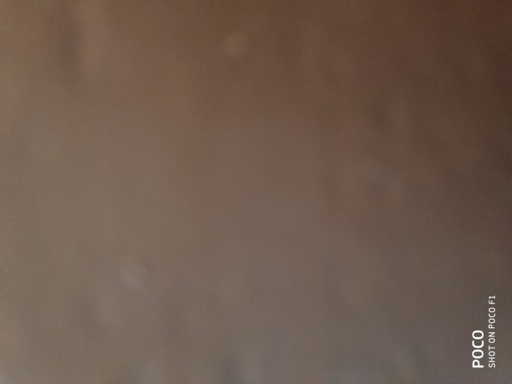 Sri Shambhulingeshwara Enterprises 