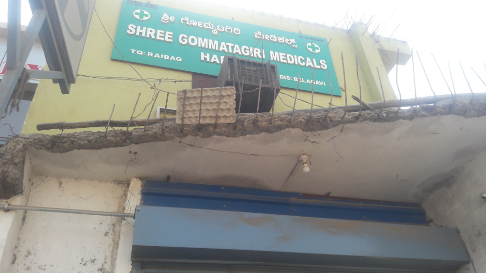 Shree Gommatagiri Medical Store