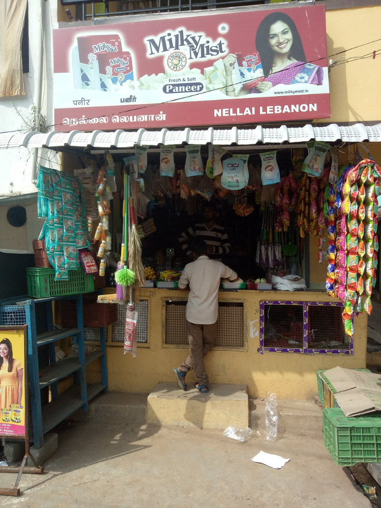 Nellai nelson store 