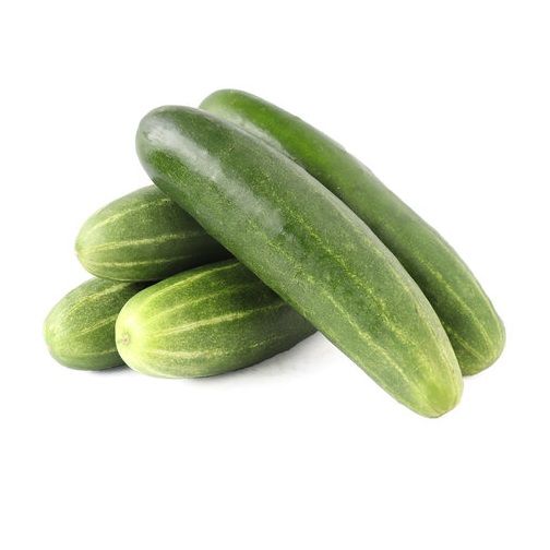 Fresh Cucumber - Regular