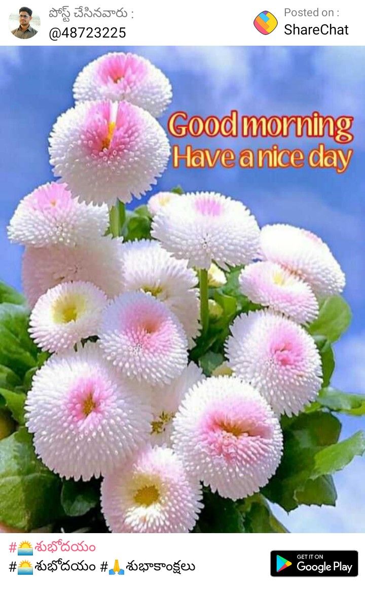 Dilip money transfer