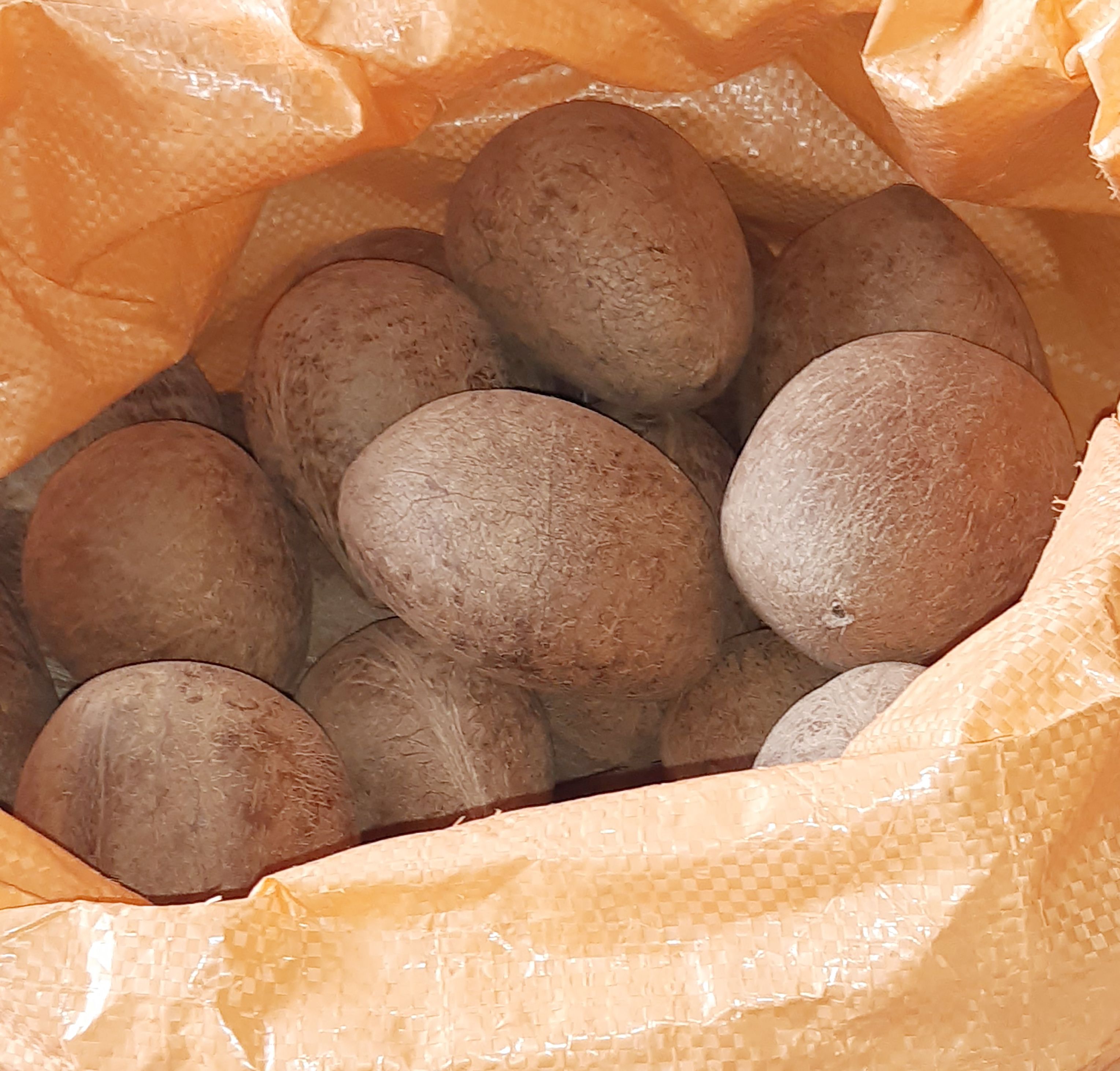 Earth Copra Whole, 5kg