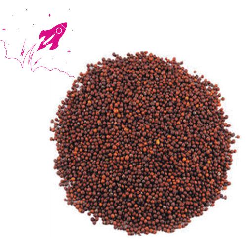 Mustard Seeds - Big, 100g