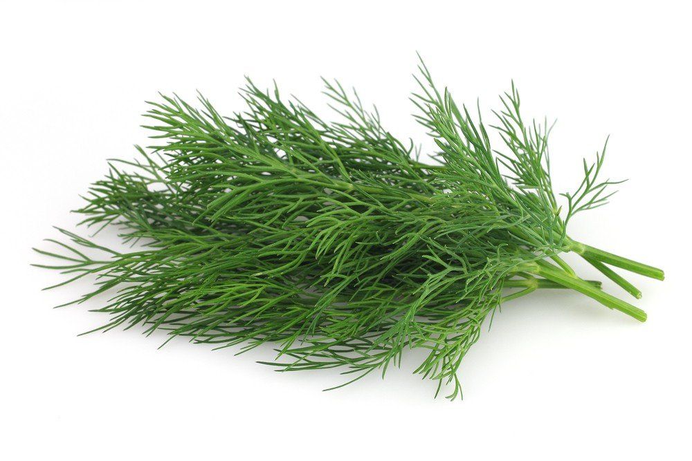 Dill Leaf, 100g