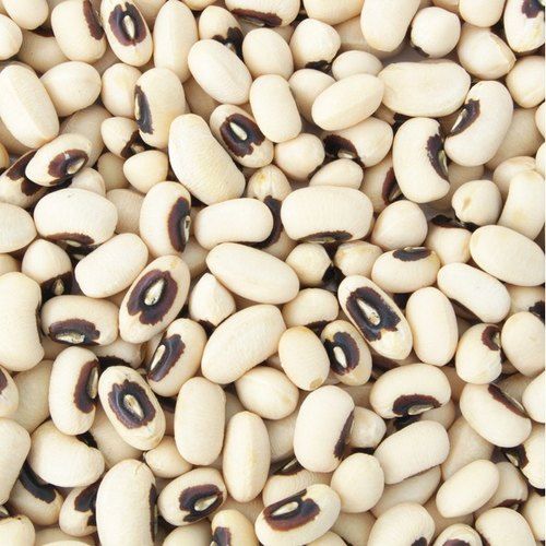 White Lobia, 50kg