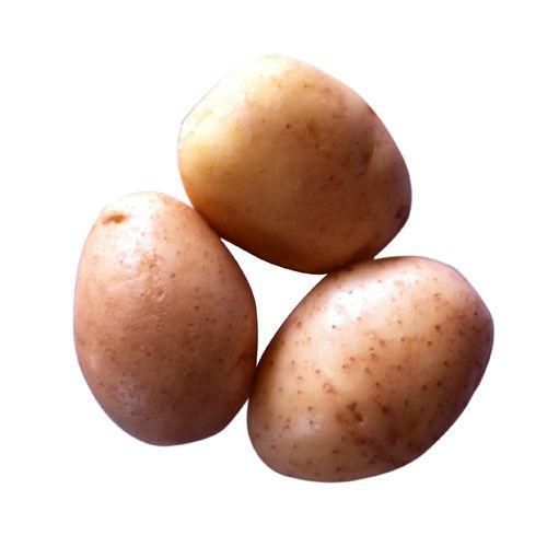 Ooty Potato - Medium [Fresh] (MD)