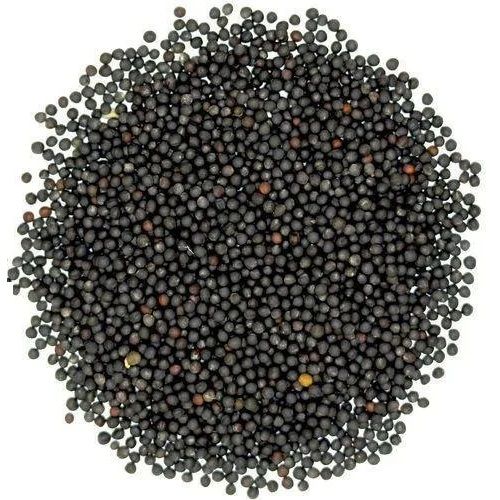 Mustard Seeds - Small, 100g