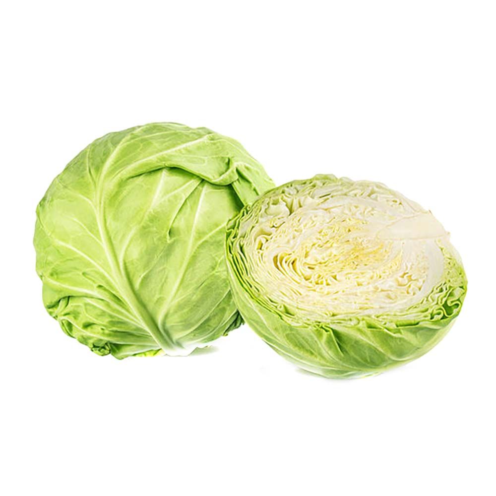 Cabbage - Regular [Fresh]