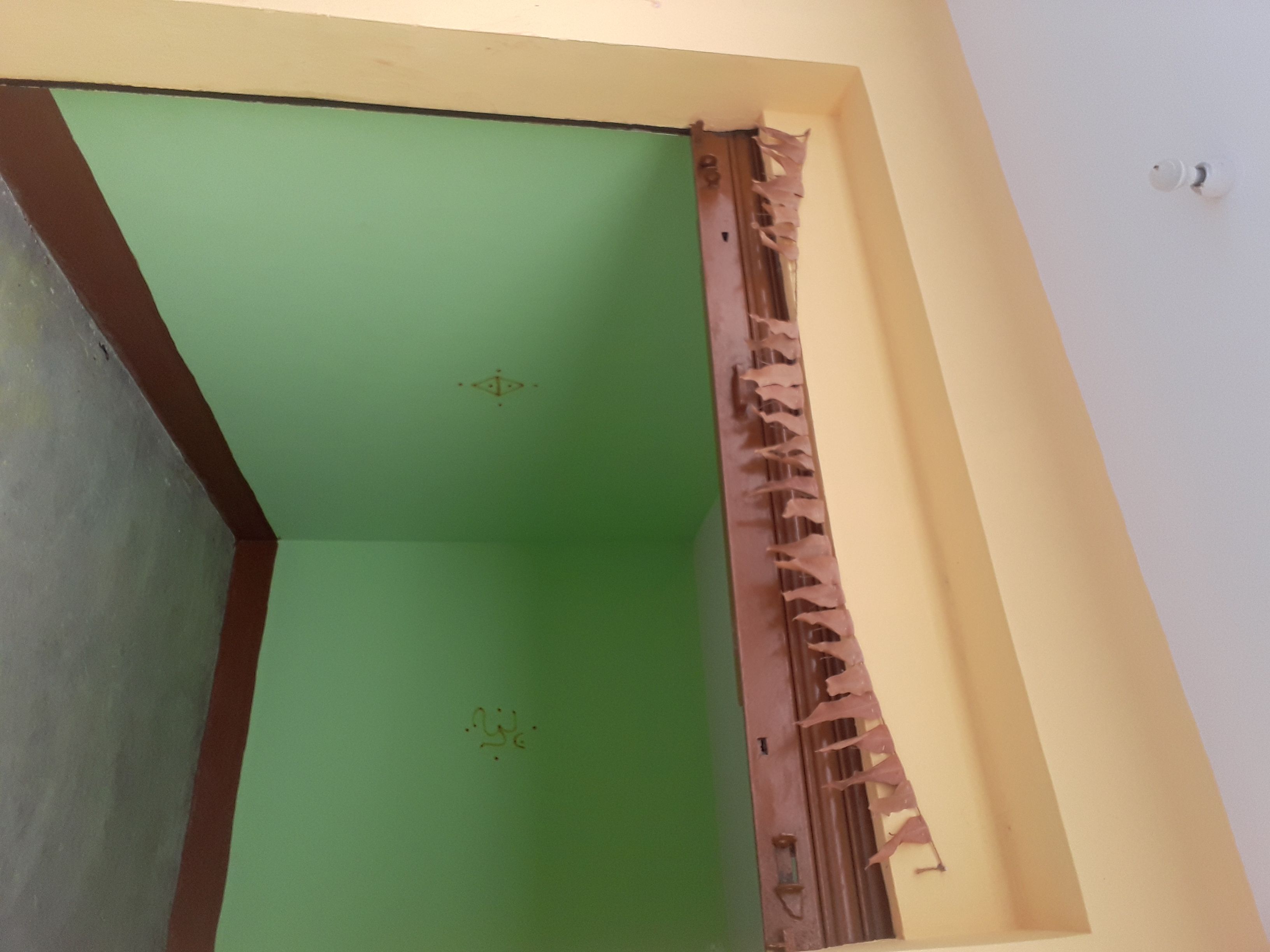 Desi Skills(DSGKGP1457)