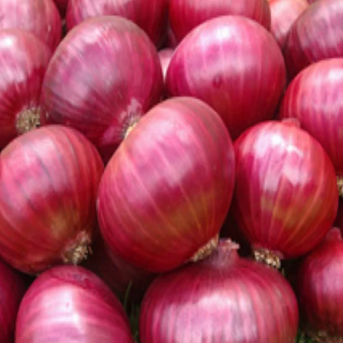 Onion, 4kg