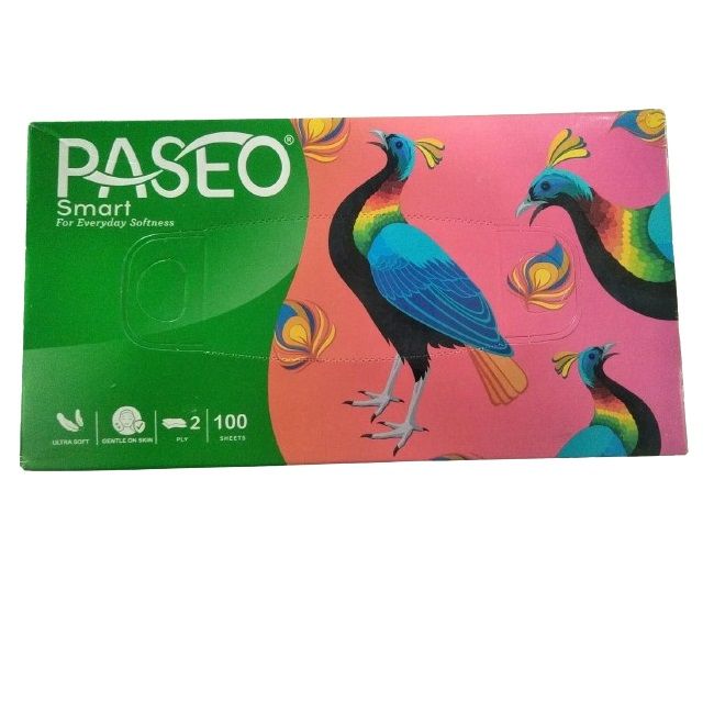 Paseo Smart Tissue Carton - 2 Ply, 100 Pulls