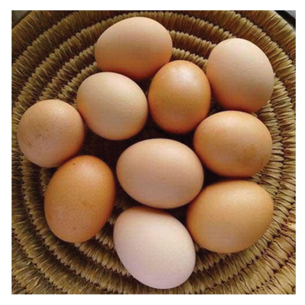 Country Egg - Kadaknath Chicken, 6pc