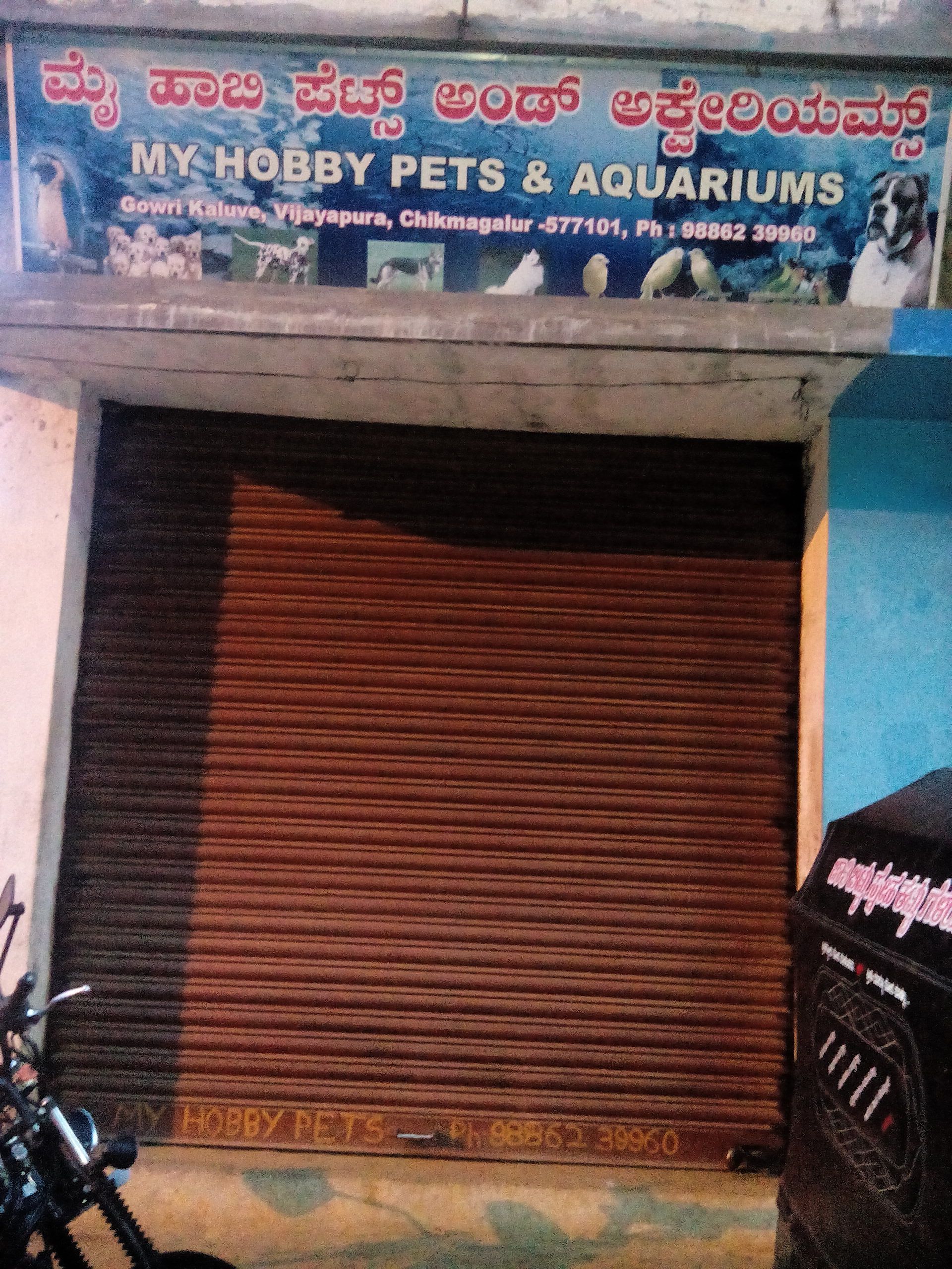 My Hobby Pets & Aquariums
