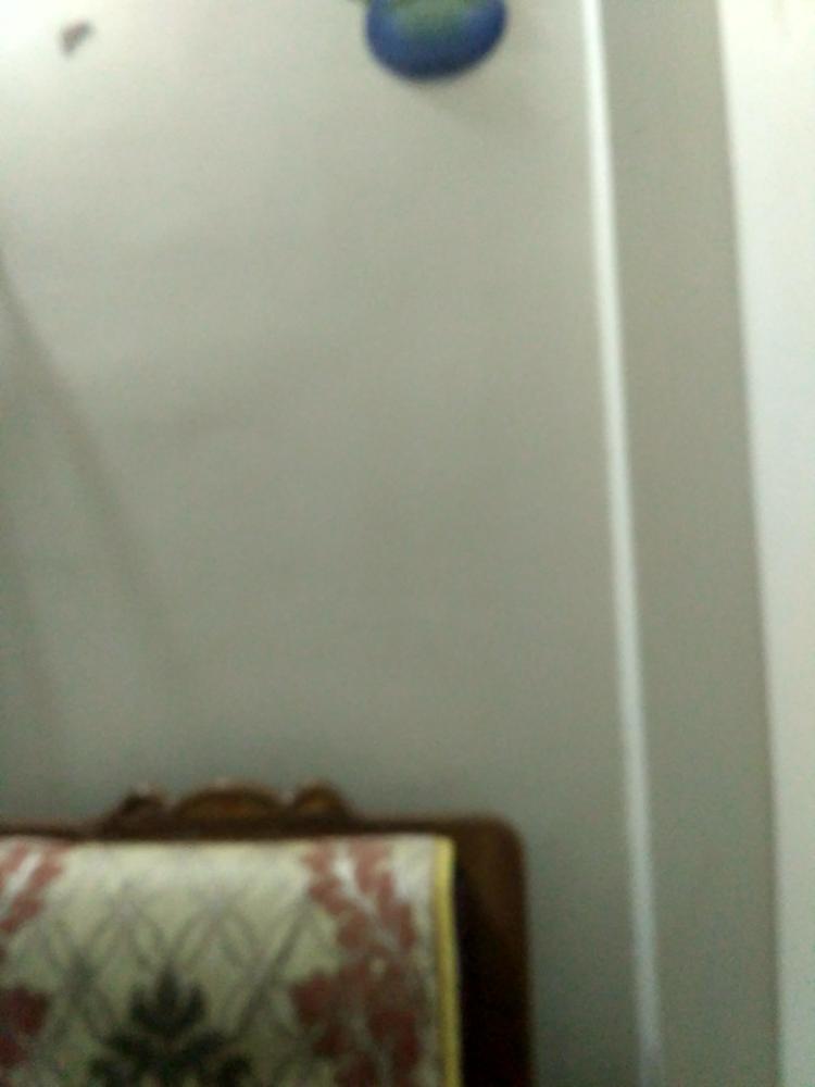 Disha General Store