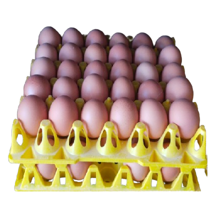 Eggcetera Cage Free Brown Eggs, 30pcs