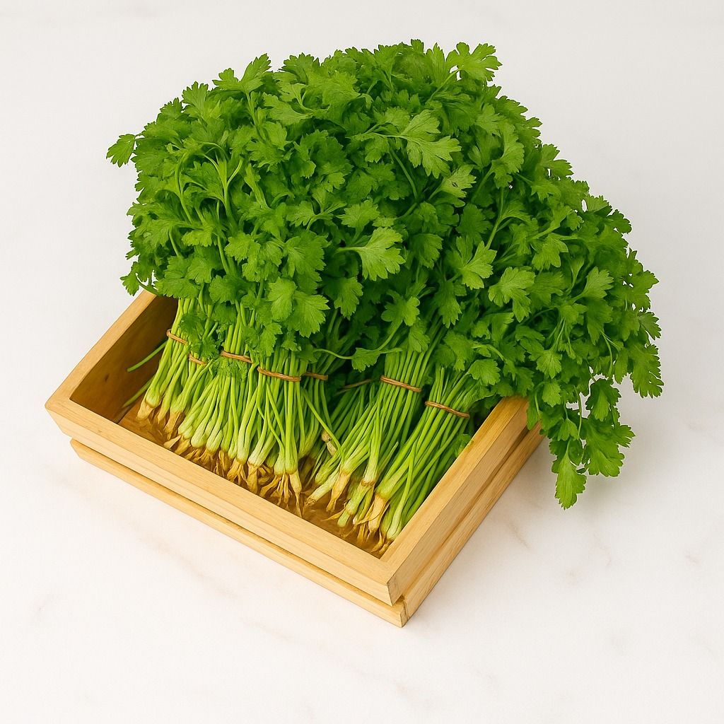Coriander Without Roots, 100g