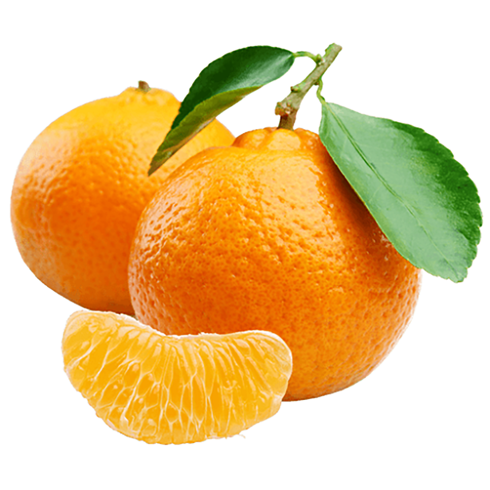 Orange - Imported, 4pcs