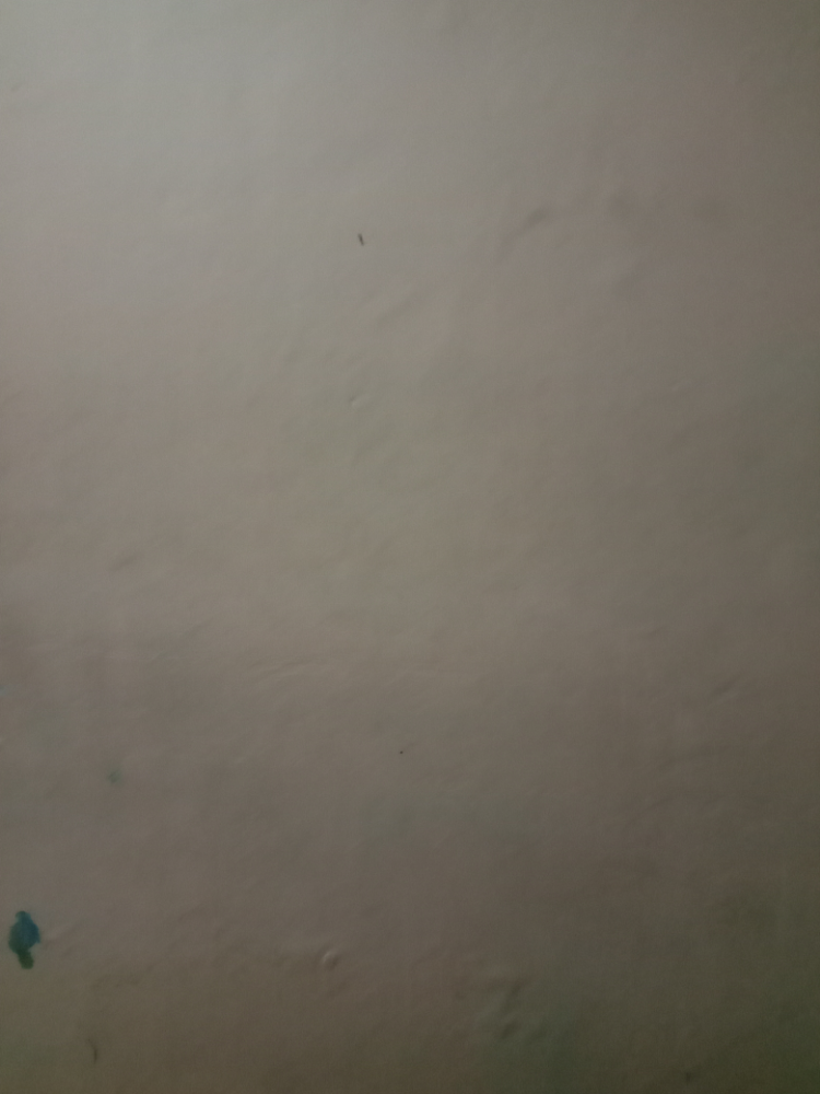 Devi times & mobiles