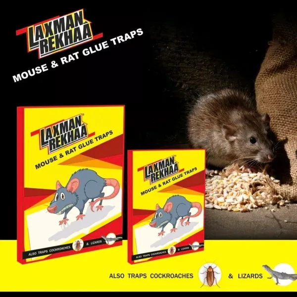 Laxman Rekhaa Mouse & Rat Glue Traps