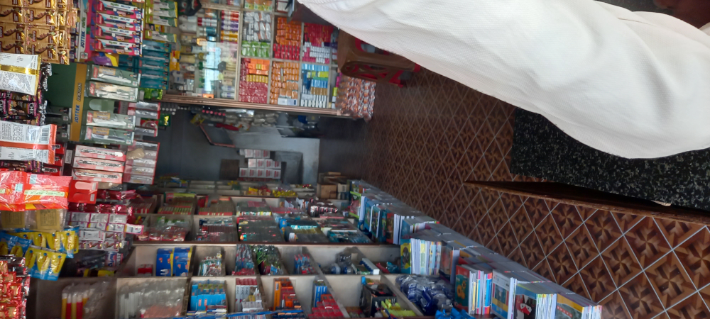 Dhanu kirani stores