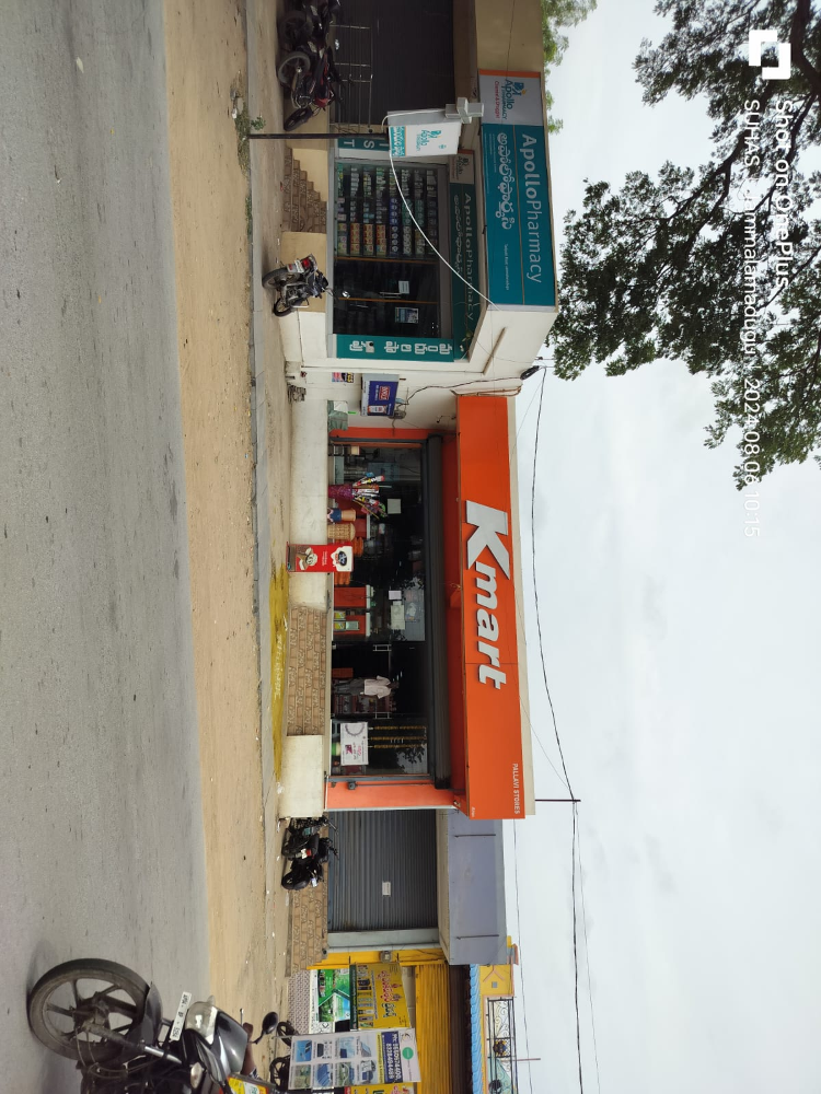 Pallavistores  kmart