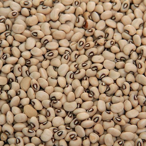 Ratna Gold Lobia - White, 50kg (MD)
