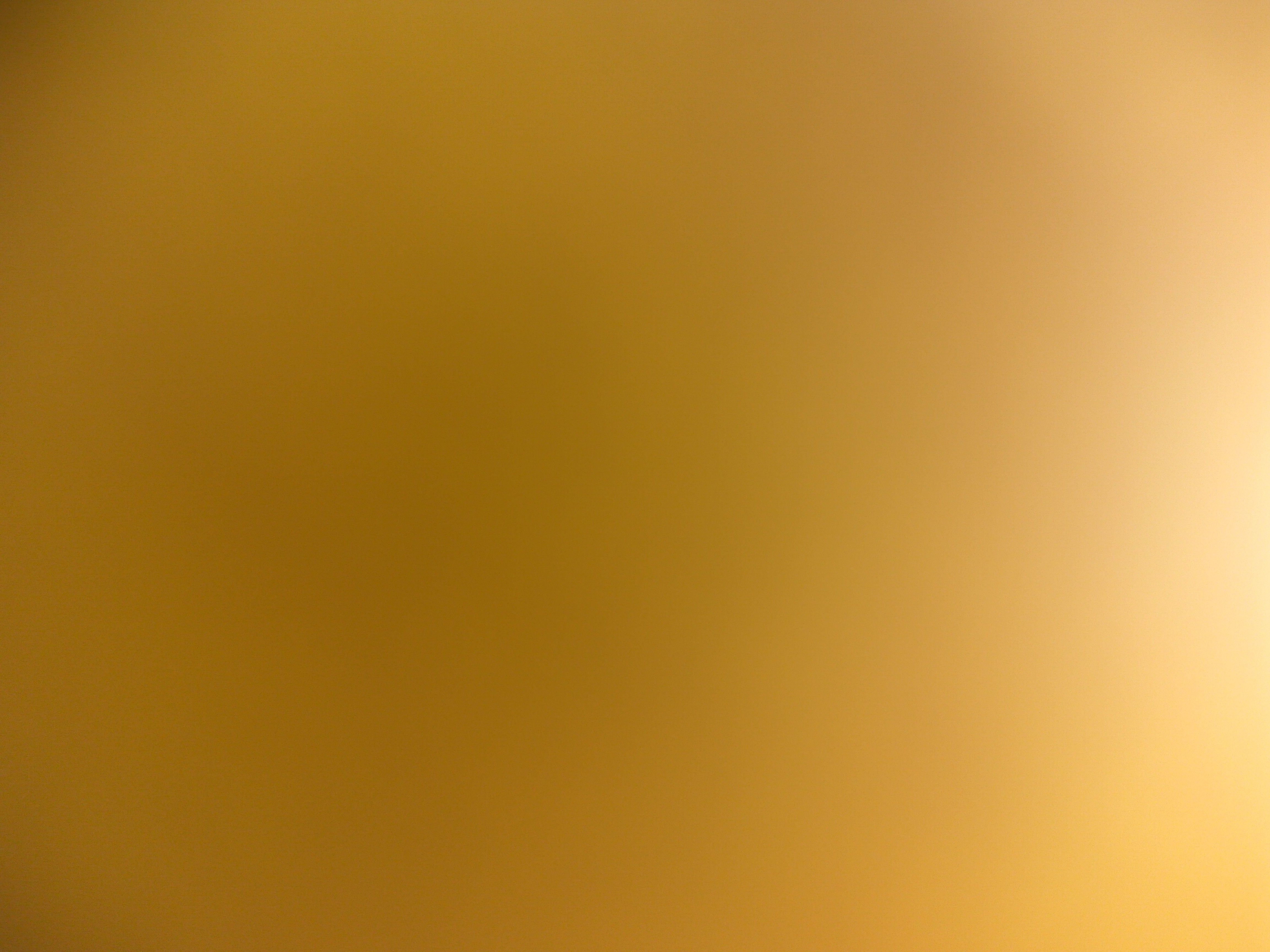 Sri Venkateshwara Prasanna Ladies & Fashion Designers