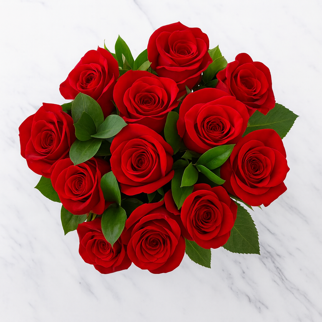 Red Rose Flower