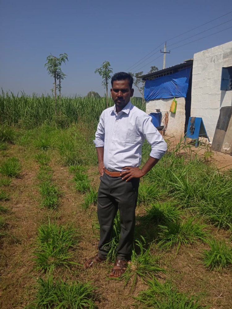 Vishwanatha Raddera