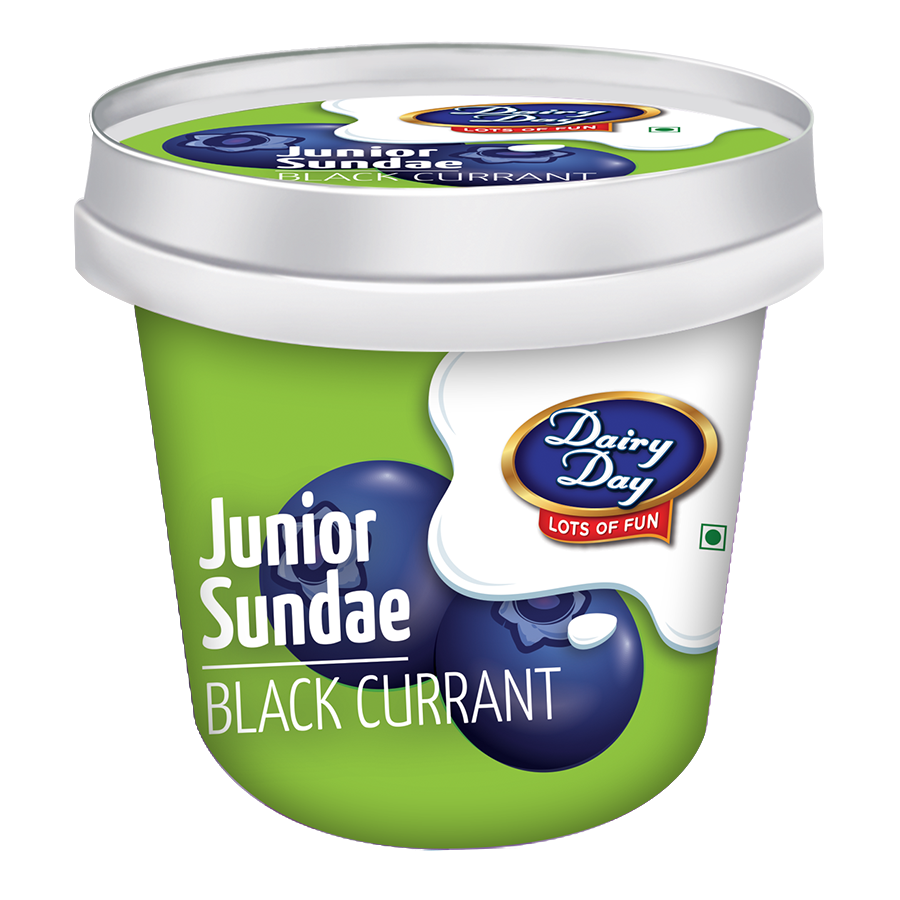 Dairy Day Junior Sundae Ice Cream Cup - Blackcurrant, 100ml