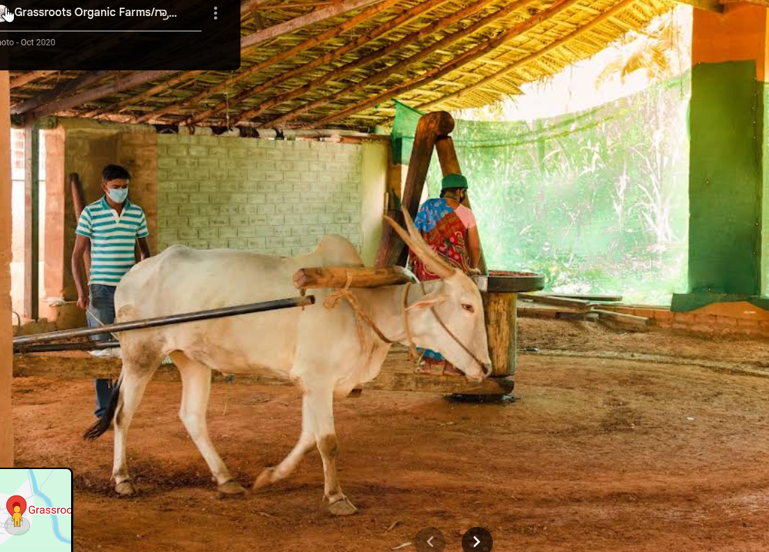 Grassroots Organic Farms