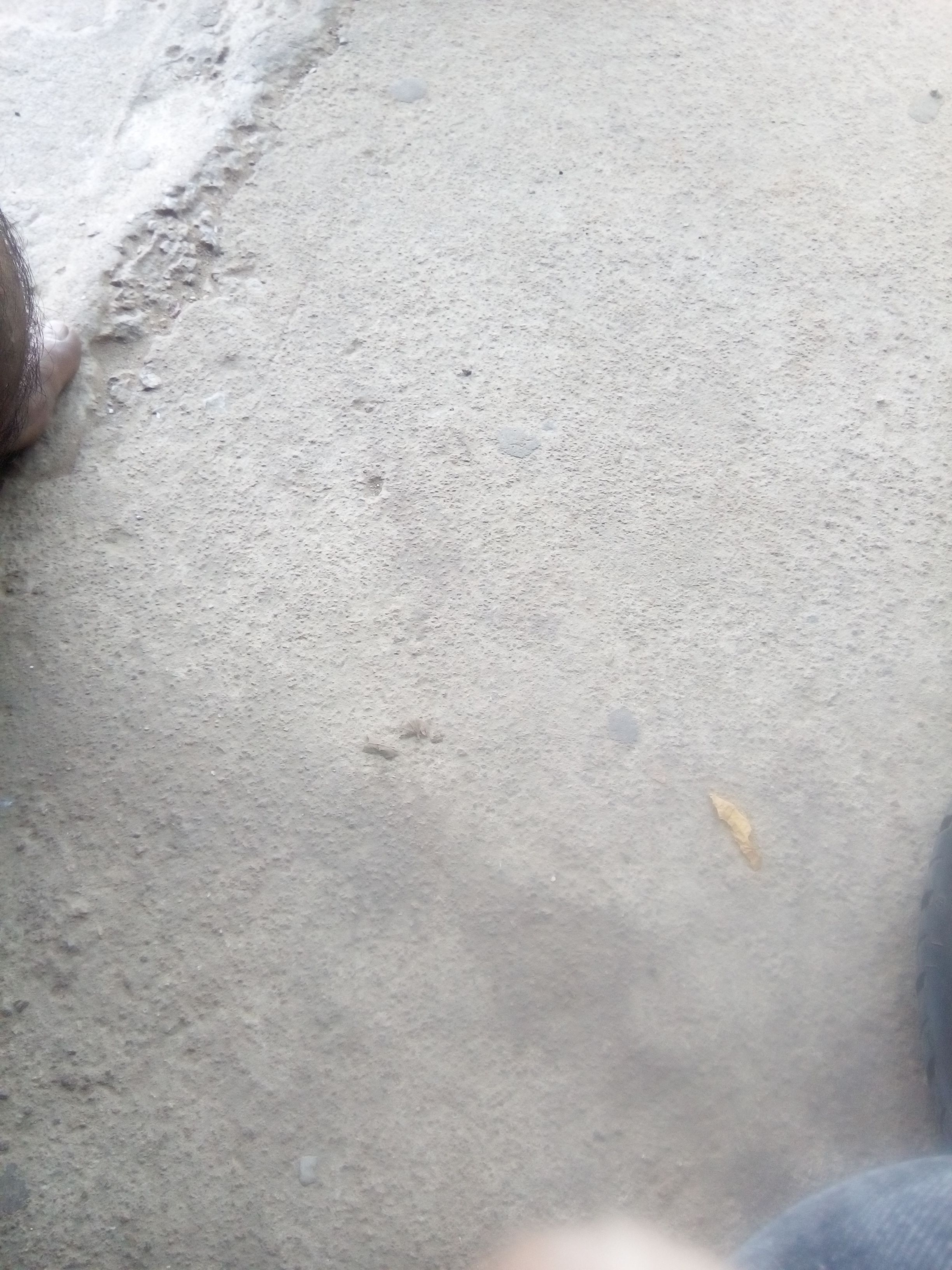 Vinay And Mythiri Provision Store