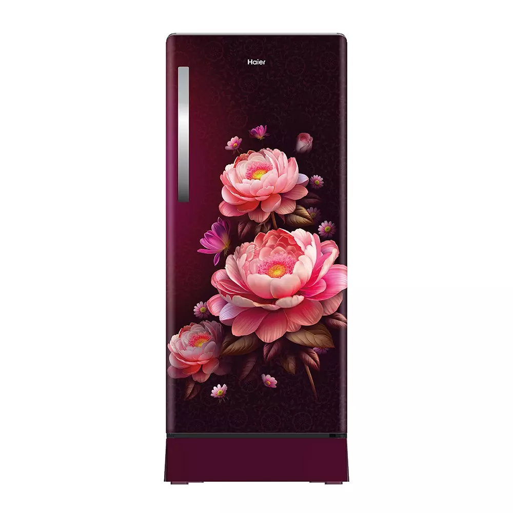Haier 4 Star Direct Cool Single Door Refrigerator (190L, Maroon Floral)