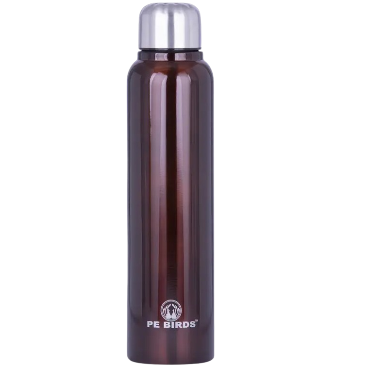 PE Birds Steel Water Bottle, 500ml