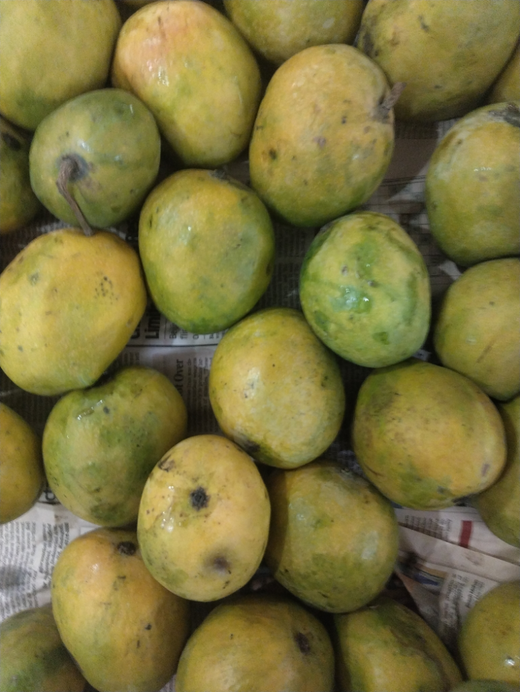 Mango - Rasay