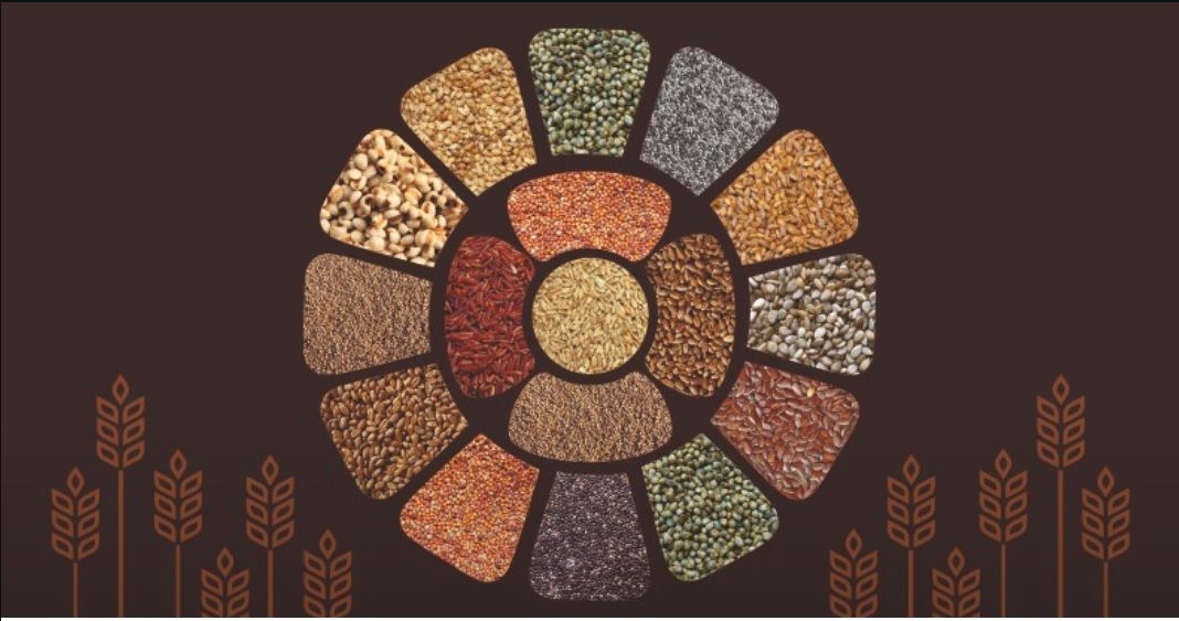 Grains Organic
