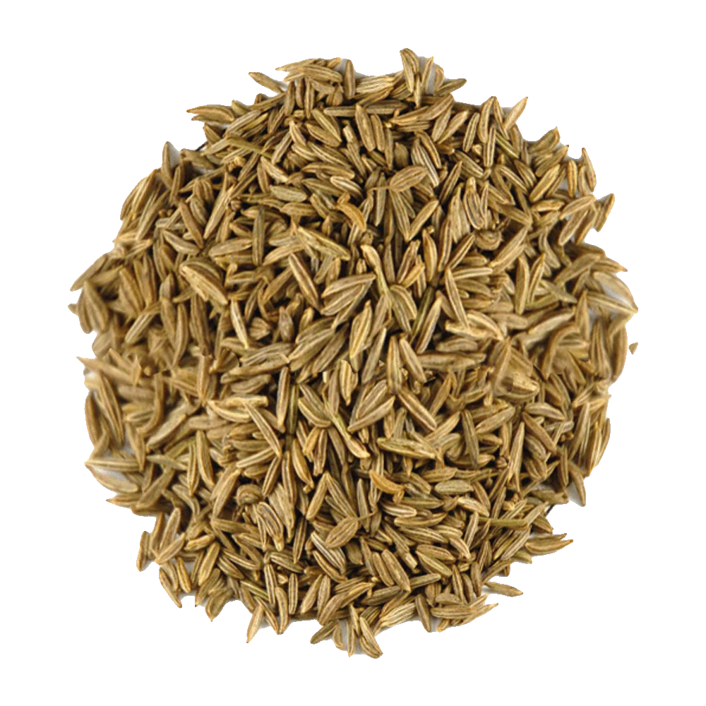 Shahjeera / Caraway Seed, 50g (MD)