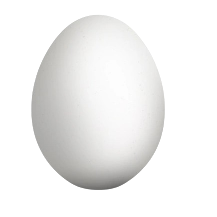 Fresh Eggs - White, 1pc