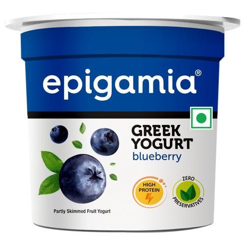 Epigamia Greek Yogurt - Blueberry, 90g