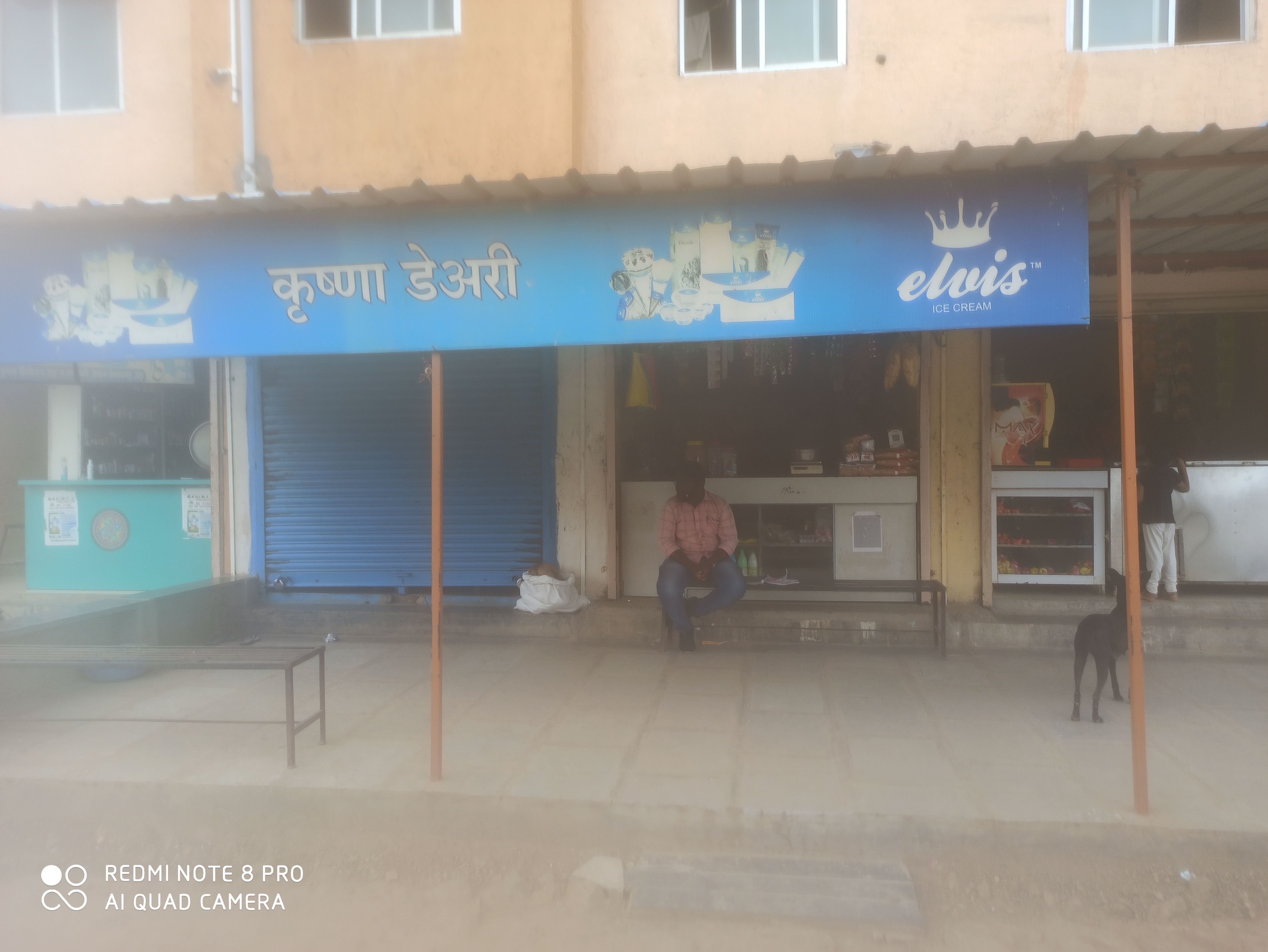 Krishna Dairy