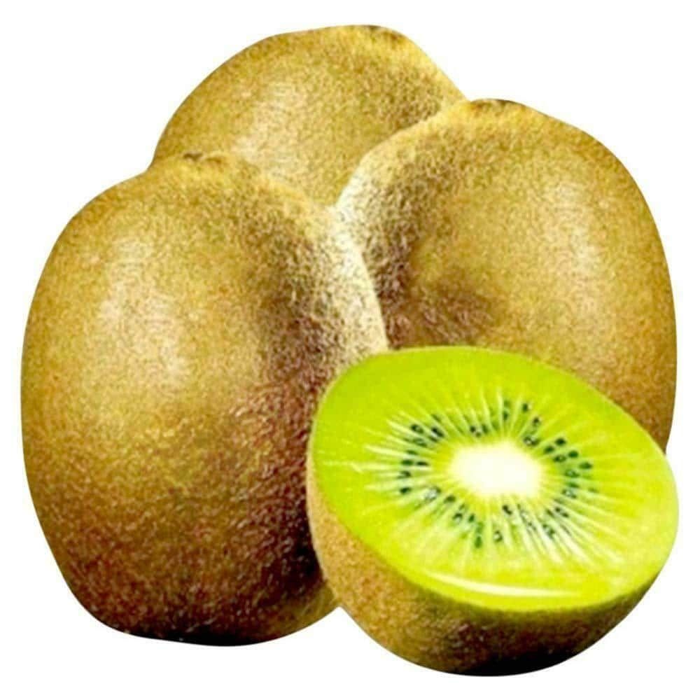 Kiwi - Green, 3pcs